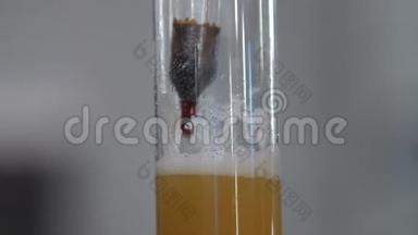 一种用于酿造啤酒的<strong>纺丝</strong>比重计，用于测量密度。