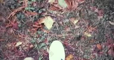 在五颜六色的秋叶和秋叶的地毯上，男人走在最高的视野上，把白色的<strong>球鞋</strong>贴紧