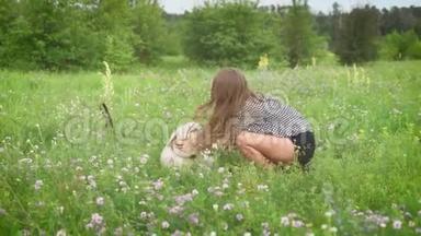 年轻苗条的女人正在抚摸一只大白躺着的狗，在一片有许多小白花的田野里微笑，在夏天