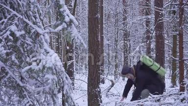 男人和女人的一对夫妇在一片白雪皑皑的冬林里互相扔雪球。 年轻人打雪球