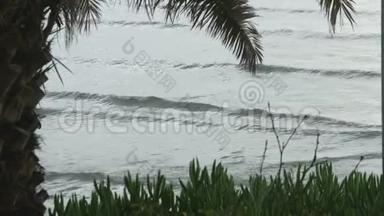 暴风雨的海浪溅在异国情调的海滩与热带植物。 大众度假胜地