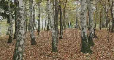 很长一段时间。 白人金发女人斯洛莫穿过秋天的树林。 在前面的万向节后面。 <strong>讲故事</strong>真年轻