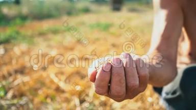 男勤劳的手显示出满满的一掌粮食.. 土地背景下农民手中的粮食