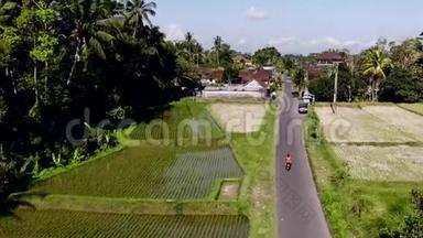 高清空中无人机镜头飞行在Ubud地区的稻田，热带岛屿巴厘。