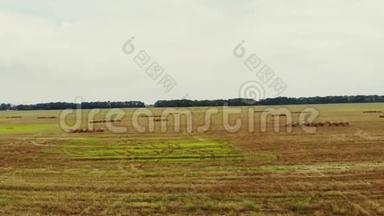 航空录像拍摄。 收割后的一大片麦子。 许多泥，大捆稻草。 夏日