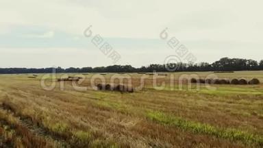 航空录像拍摄。 收割后的一大片麦子。 许多泥，大捆稻草。 夏日