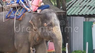 游客<strong>骑</strong>在<strong>大象</strong>身上。 泰国<strong>大象</strong>农场，芭堤雅。 慢动作