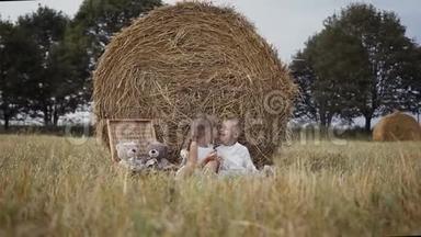 田间的稻草捆.. 一个小男孩和女孩得到水果。 在野外野餐。