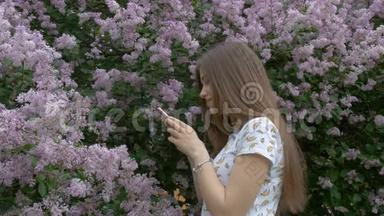 一个漂亮的女孩正在给一棵丁香树拍照。 欣赏美丽的花朵。 呼吸着美丽的芬芳