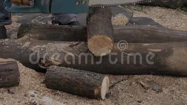 伐木工人用<strong>电锯</strong>伐木。 <strong>电锯</strong>把干木头锯在地上. 慢动作