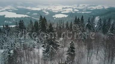 鸟瞰冬山，高山草甸.. 山顶上长满了巨大的松树和白雪覆盖的山峰