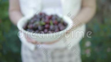 一个女人拿着一个碗，手里拿着成熟可口的樱桃