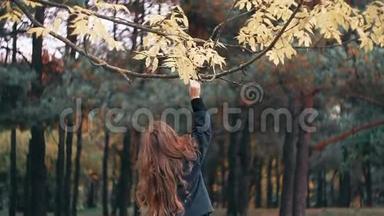 可爱，有趣，开朗的小女孩在令人惊叹的秋天公园里，眼泪汪汪的树叶