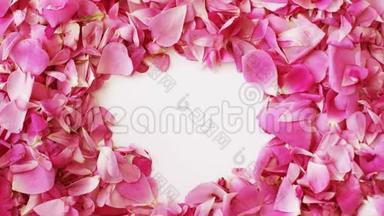 粉色玫瑰花瓣为情人节打造心形，停止运动动画