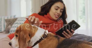 快乐的女人躺在沙发上用平板电脑抚摸她的狗4K 4K