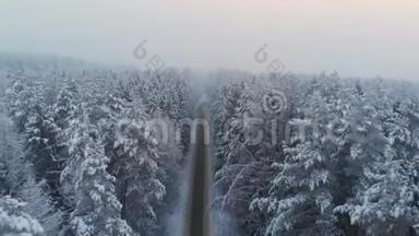 冬季森林中自由农村公路的俯视图