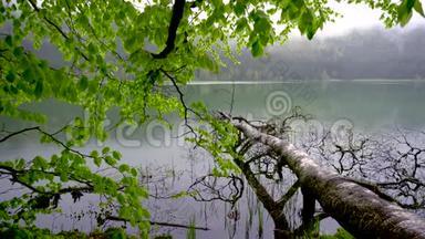 山水秀丽的山湖以森林为背景。 山湖的春天景观.. 雨后的绿林..