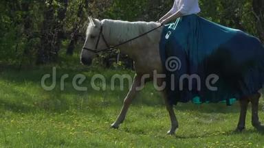 一个长发女孩，骑着一匹马，穿着一件绿色和蓝色的历史长礼服，看着相机，马是。