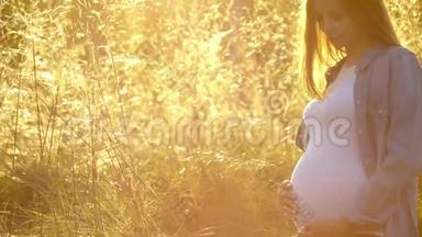 美丽的孕妇在夏日的自然草甸与夕阳。