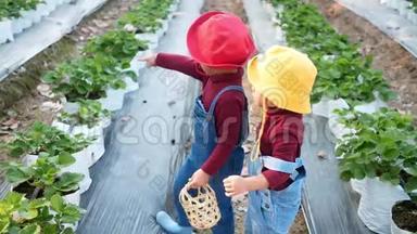 可爱的孩子们兄弟姐妹正在有机草莓农场采摘红色成熟浆果。 假期儿童户外活动
