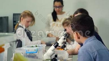 在<strong>小学生</strong>物课上<strong>学习</strong>生物、化学的儿童。 去看显微镜。
