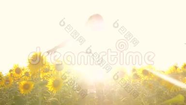 快乐的小女孩闻着向日葵在夏天的田野上打喷嚏对花过敏。 慢动作视频。 女孩