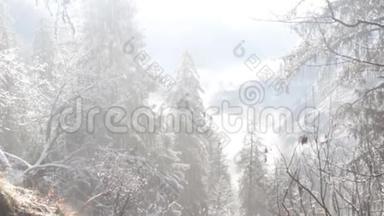 雪落下来，<strong>立即</strong>融化，从喜马拉雅山的树木中流下来
