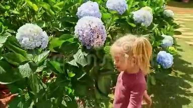 小女孩拥抱蓝色绣球花公园