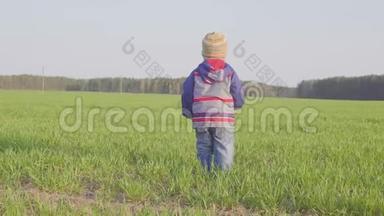 一岁的男孩带着小<strong>麦子</strong>站在田野里
