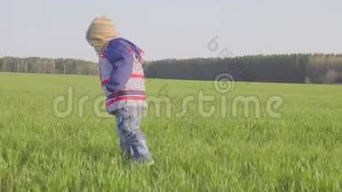 一岁的男孩带着小麦子站在田野里