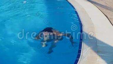 阳光明媚的<strong>夏日</strong>，身穿比基尼的年轻黑发女子在<strong>泳池</strong>里潜水