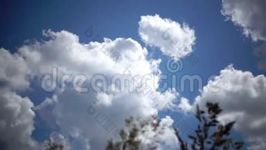 丛生的发草痫cespitosa风在蓝色的夏日太阳天空的背景<strong>下摆</strong>动一棵草