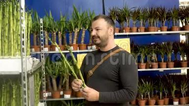 一个男人在宜家的购物中心选择植物