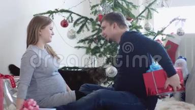 幸福的年轻漂亮夫妇坐在漂亮的圣诞树旁。 丈夫给怀孕的妻子一个礼品盒