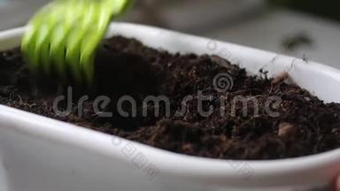 一个人用耙子把花盆里的土松开并整平。