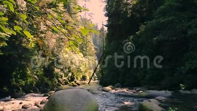 在不列颠哥伦比亚省北温哥华的林恩峡谷公园，沿着徒步<strong>旅行路线</strong>流过岩石和巨石的溪流