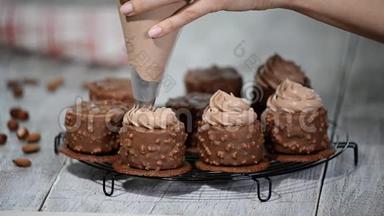 装饰巧克力迷你摩丝蛋糕。 巧克力榛子摩丝蛋糕上覆盖着巧克力釉。