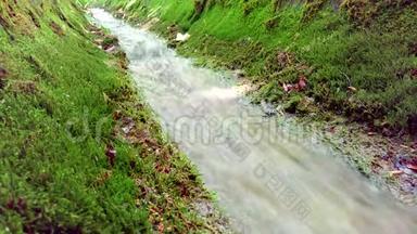 山溪。夏天在绿色公园里流淌的小溪。流动的水。小河瀑布。美丽小河i