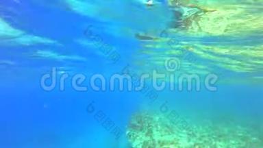 马耳他珊瑚礁附近的海流