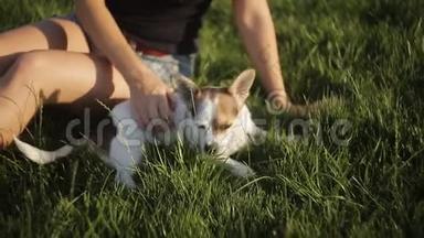 女孩在草地上抓一只小狗一个女孩坐在草地上和一只小狗玩