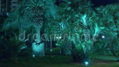 夜间热带公园与棕榈树在度假小镇与夜间照明。 4k.