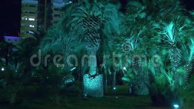 夜间热带公园与棕榈树在度假小镇与夜间照明。 4k.