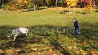 欧洲模样的快乐小男孩和一只大美狗在秋天的公园里玩得很开心