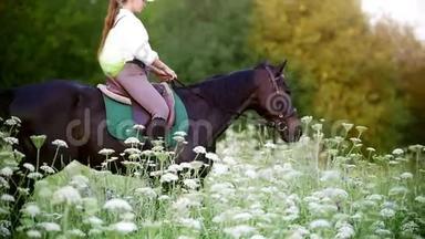 日落时分，年轻女子骑着马在草地上飞驰