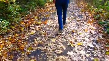 女腿，沿着林间小道行走，秋天散落着黄色的落叶..