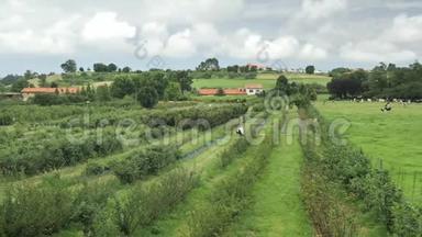 4kAsturian绿色田野、舒适的丘陵、小屋、乡村住宅、花园和庭院的乡村景色