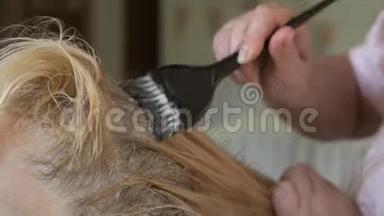 美容师在美容工作室做染发，专业染发和护发，美容业务