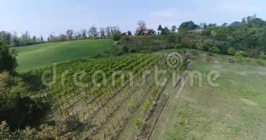 意大利山坡上的葡萄园，葡萄园之间的小山上的房子，山坡上的一排排葡萄园，空中，小屋