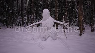 冬天的雪林。 俄罗斯森林中的大雪纷飞，霜冻和雪天。