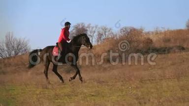 骑着马在草地上飞驰的女孩。 慢动作